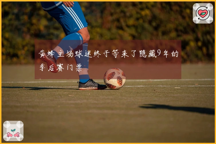 黄蜂主场球迷终于等来了隐藏9年的季后赛门票