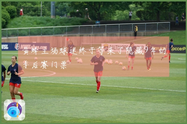 黄蜂主场球迷终于等来了隐藏9年的季后赛门票